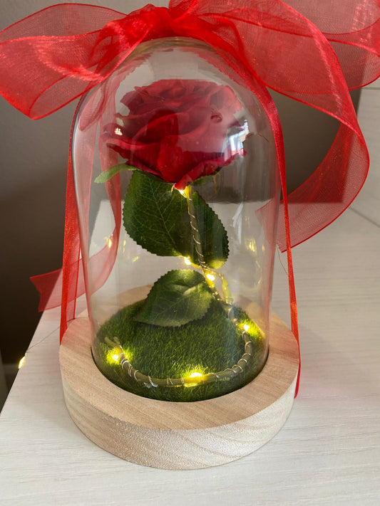 Mini Cúpula Rosa Eterna